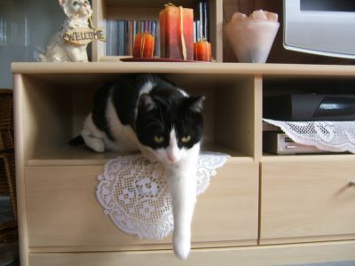 Click to view full size image