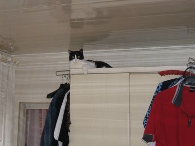 Click to view full size image