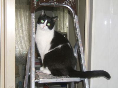 Click to view full size image