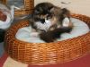 16.08.07_004.jpg