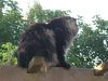 29.07.07_004.jpg