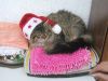 Merlin_Nikolaus_006.jpg