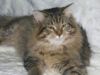Silvester_2006_2_002.jpg