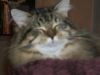 Silvester_2006_2_012.jpg