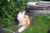 sammy_(20).jpg
