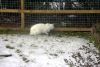 Filename=schneeflocke_(11).jpg
Filesize=120KB
Dimensions=640x429
Date added=Oct 09, 2007 schneeflocke_(11).jpg